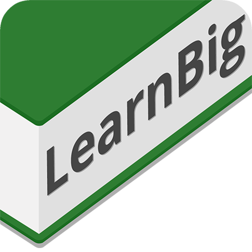 Learn big 2025